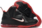 LeBron James 9-004